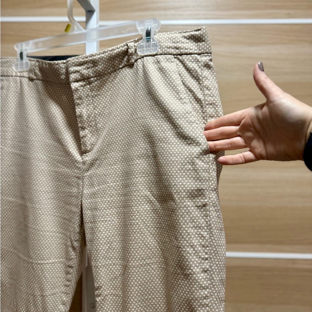 Banana Republic Hampton Chino